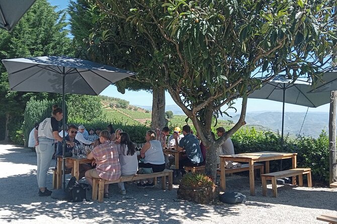 Douro Tour with Wine Tasting, River Cruise and Visit to Lamego - Lunch and Lamego’s historic center: 2 hours to eat and wander