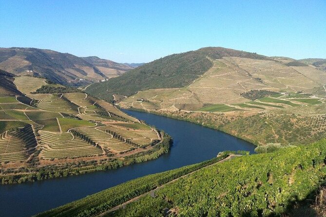 DOURO TOURS - Premium Tour - Traditional Portuguese Lunch in Pinhão: What Is Included and Why It Matters