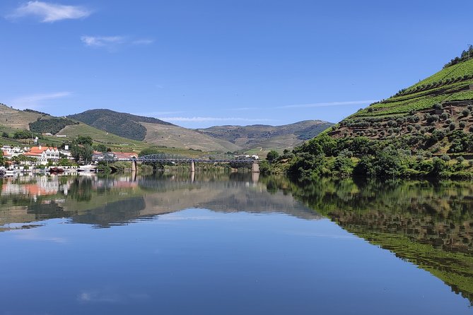 DOURO TOURS - Premium Tour - Quinta Stop 2: 3 Port Wines, Plus a Different Kind of Douro Education