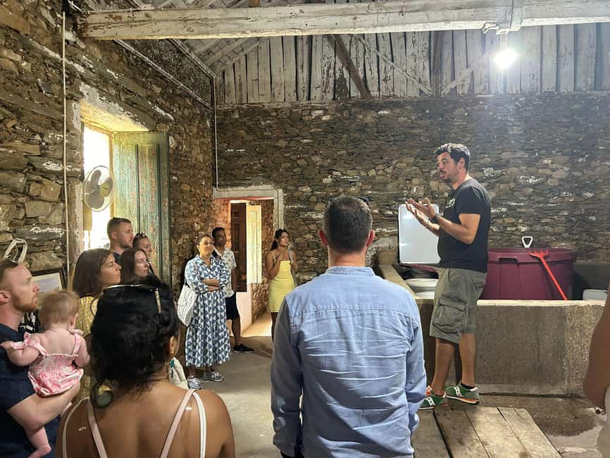 Douro valley: 10 km hike in the Valley - Who This Trip Fits Best (and Who Should Skip It)