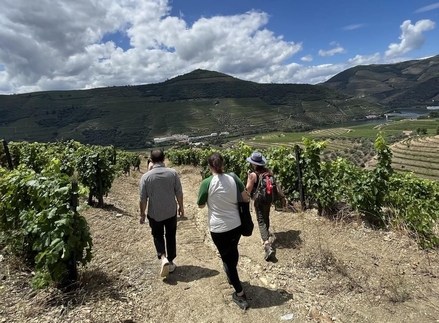 Douro valley: 10 km hike in the Valley - Price and Value: What $74 Per Person Really Covers
