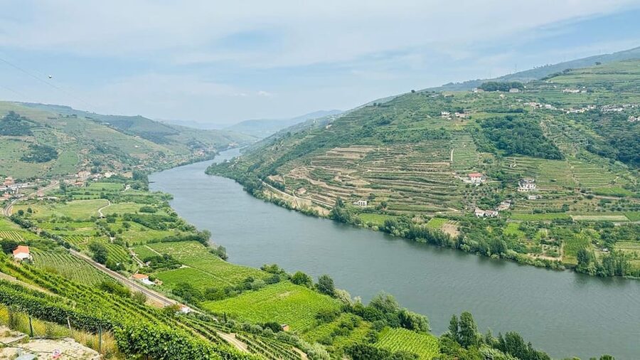 Douro Valley: 4 Cities, Wine&History - Private All-Inclusive - Key highlights you will feel in the day