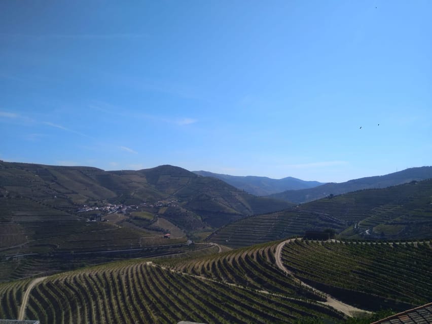 Douro Valley & Amarante - from Porto, Braga or Guimarães - Key highlights you’ll actually care about