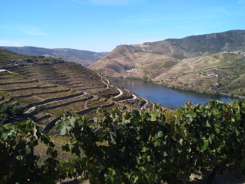 Douro Valley & Amarante - from Porto, Braga or Guimarães - The big idea: a Douro day that changes how you look at the valley