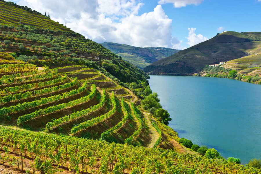 Douro Valley & Amarante - from Porto, Braga or Guimarães - Starting from Porto, Braga, or Guimarães without wasting the day