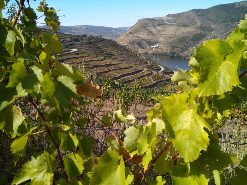 Douro Valley & Amarante - from Porto, Braga or Guimarães - Amarante: the historic center break that gives the day rhythm