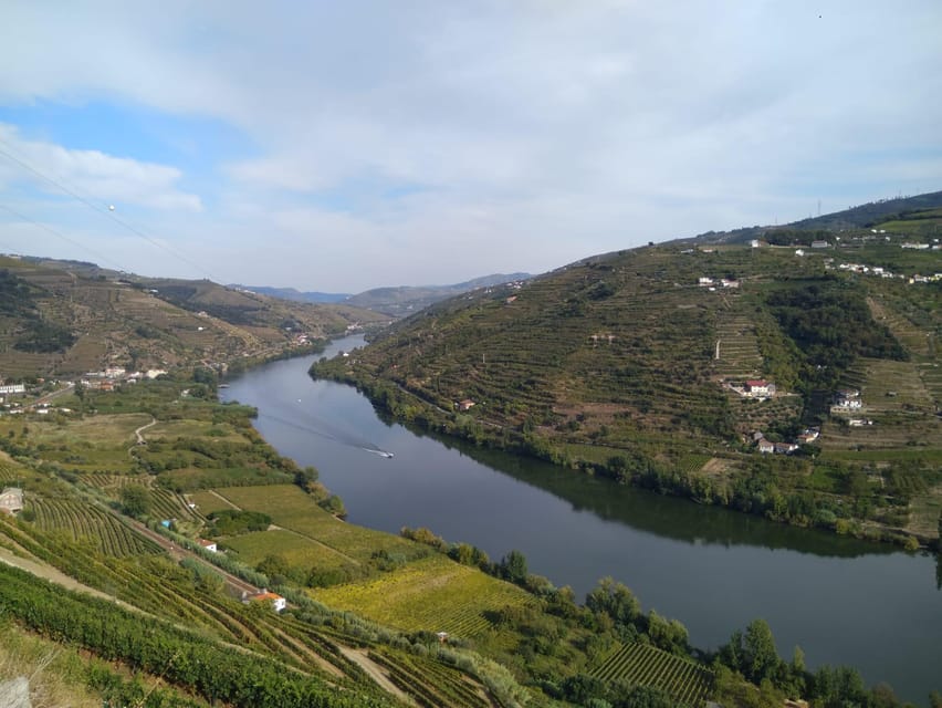 Douro Valley & Amarante - from Porto, Braga or Guimarães - Peso da Régua: learning the Douro Valley structure from the river outward