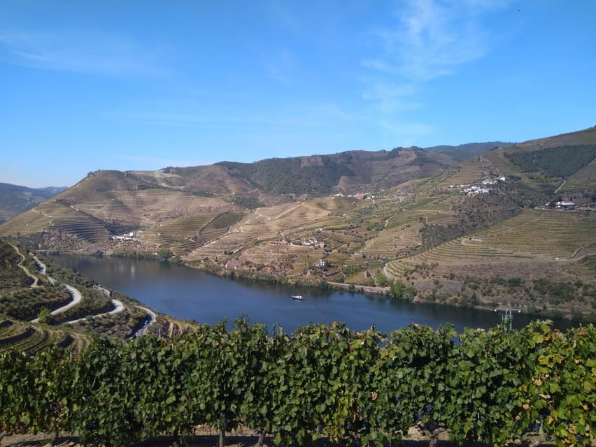 Douro Valley & Amarante - from Porto, Braga or Guimarães - The São Leonardo de Galafura viewpoint: where the terraces make sense