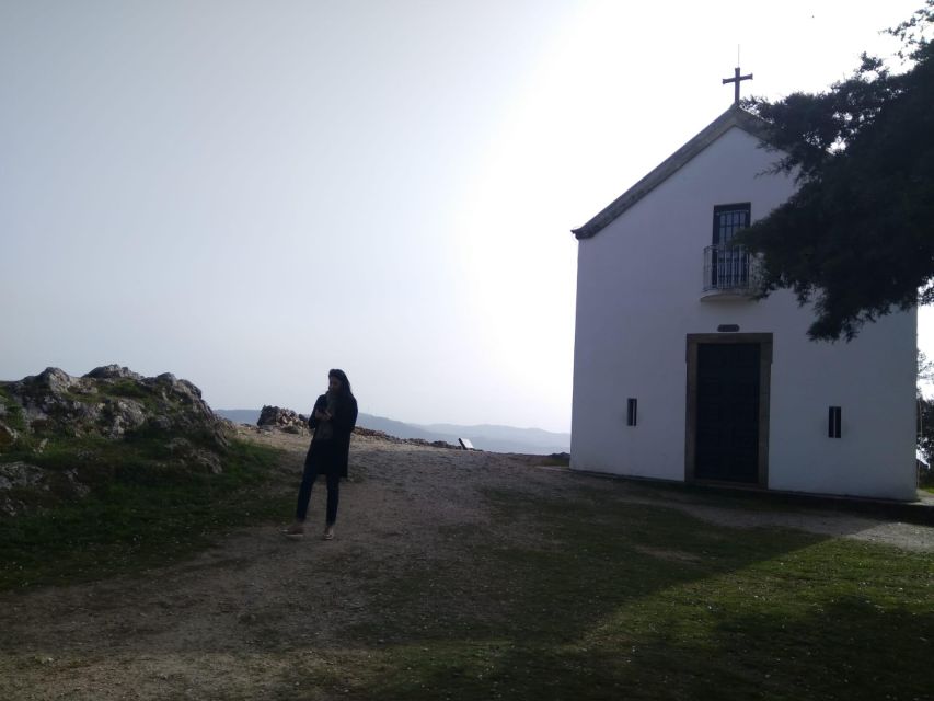 Douro Valley & Amarante - from Porto, Braga or Guimarães - Douro Valley and extra sightseeing: short stops that keep momentum