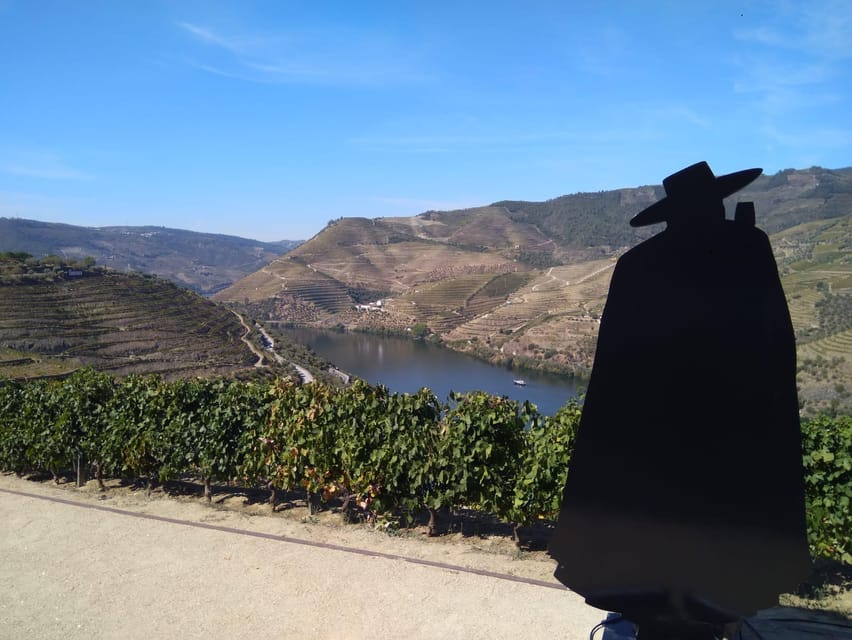 Douro Valley & Amarante - from Porto, Braga or Guimarães - Choosing your tasting style: Meet Douro, Tasting Douro, Premium Douro
