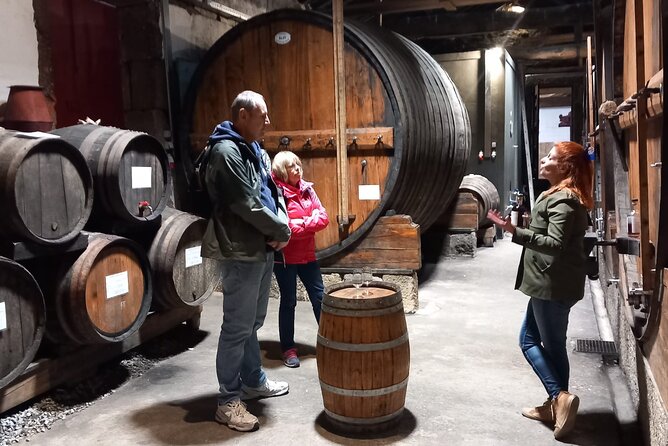 DOURO VALLEY & AMARANTE: Private Tour, Wine Tour and Cruise - Price and Value: What You’re Paying For at $298.18 per Person