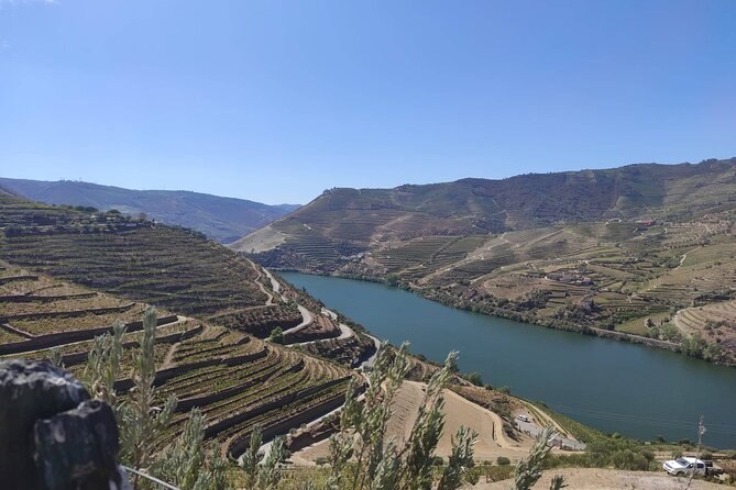Douro Valley amazing wine Tours - Why the Small Group Size Changes Everything (Max 6)