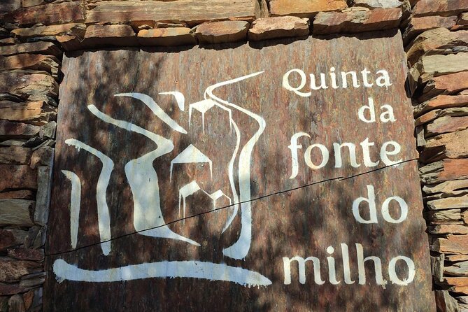 Douro Valley amazing wine Tours - What You Can Expect from the Guides Andreia and Valdemar