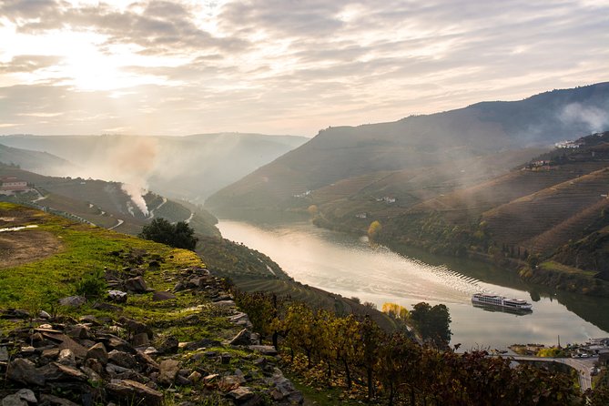 Douro Valley and Régua Panoramic Cruise with Lunch from Porto - Carrapatelo Dam: The Lock Passage That Makes the Day Memorable