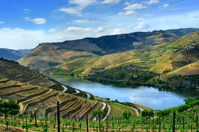 Douro Valley and Régua Panoramic Cruise with Lunch from Porto - The Scenic Portion You’re Really Paying For