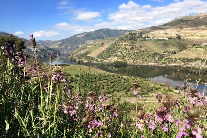 Douro Valley and Régua Panoramic Cruise with Lunch from Porto - Lunch Onboard: What’s Included, What’s Hit, What to Watch