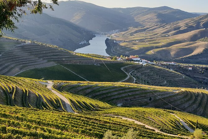 Douro Valley Best-Of Private Tour – Fully Customizable Experience - Sabrosa: “Chill & Wine” and a Port-Style Finale