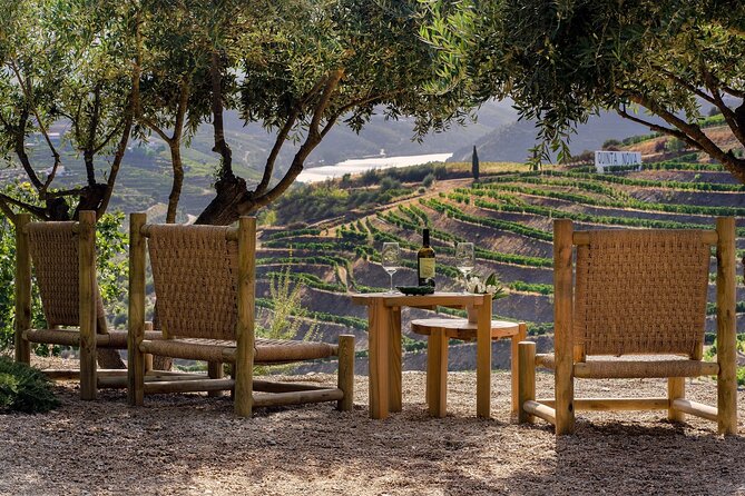 Douro Valley Best-Of Private Tour – Fully Customizable Experience - Optional Douro River Boat Trips and Extra Winery Stops