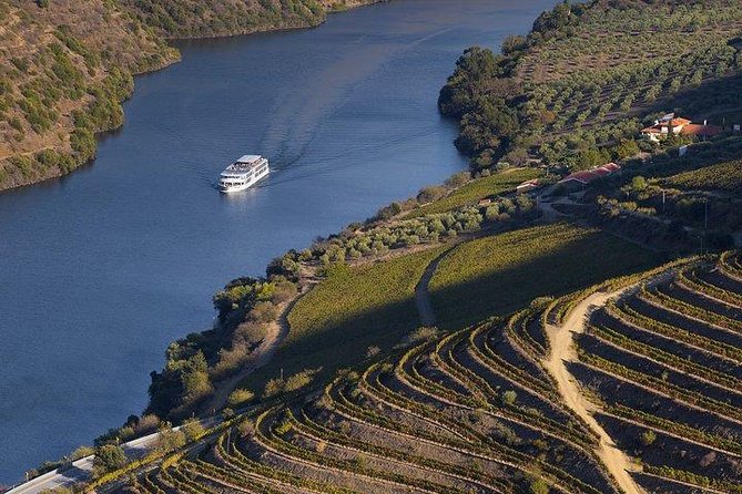 Douro Valley Cruise Porto to Pinhão: Breakfast, Lunch and Tasting - Where you meet in Porto, and why “exactly where” matters