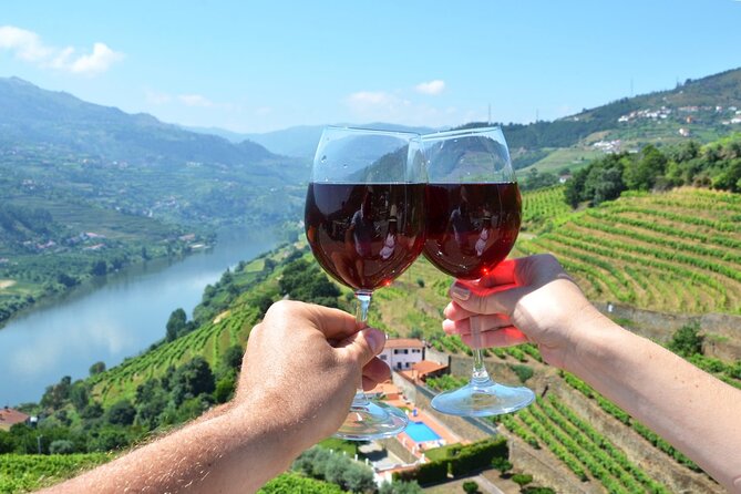 Douro Valley Delights Wine Tasting and Scenic Vistas - Key things to know before you go