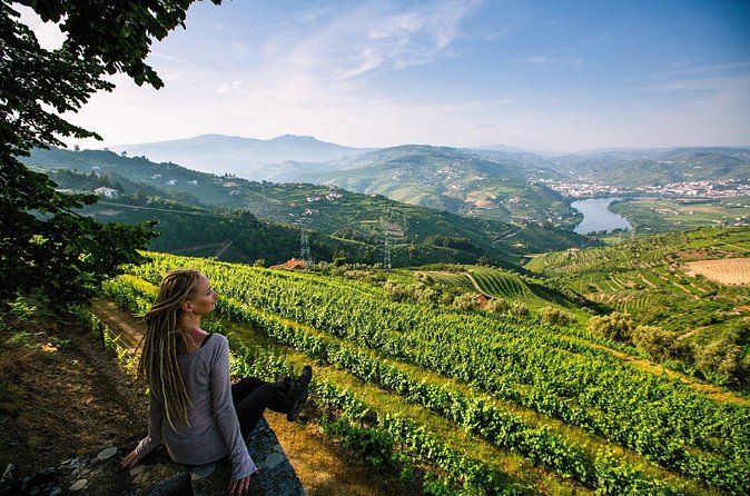 Douro Valley Delights Wine Tasting and Scenic Vistas - The ride back to Porto and why comfort matters