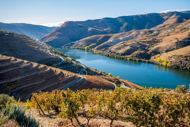 Douro Valley Delights Wine Tasting and Scenic Vistas - Porto as your warm-up: history, port, and a smooth start