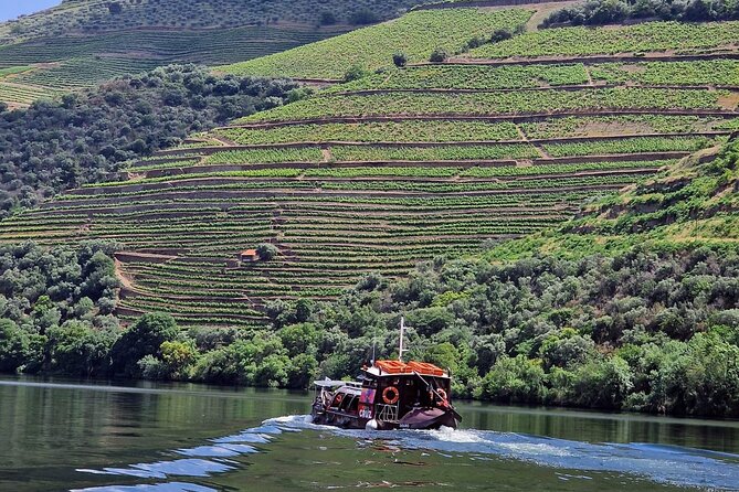 Douro Valley-Expert Guide-Boat-Lunch-Tastings-Offer wine bottle - Key things to know before you book