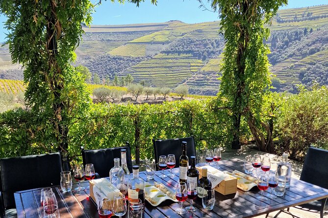 Douro Valley-Expert Guide-Boat-Lunch-Tastings-Offer wine bottle - Entering Douro Wine Country From Porto, Not From Nowhere