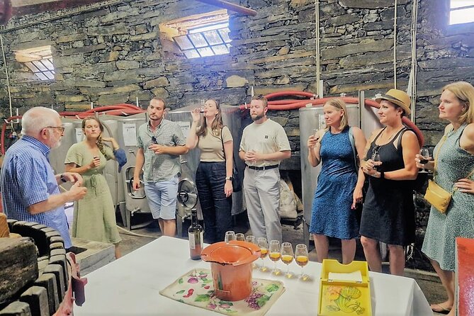 Douro Valley-Expert Guide-Boat-Lunch-Tastings-Offer wine bottle - Miradouro Torguiano: The Viewpoint Stop That Teaches Port Before You Taste