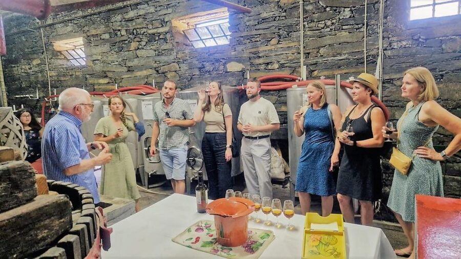 Douro Valley-Expert Guide-Boat-Lunch-Tastings PremiumService - Key points that make this tour worth a close look