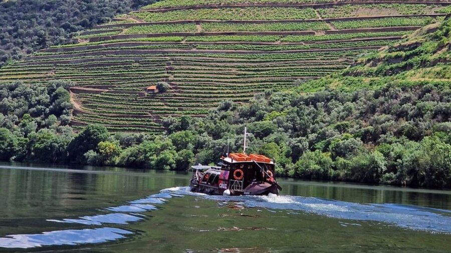 Douro Valley-Expert Guide-Boat-Lunch-Tastings PremiumService - Porto to the Douro, with a plan that does not feel chaotic