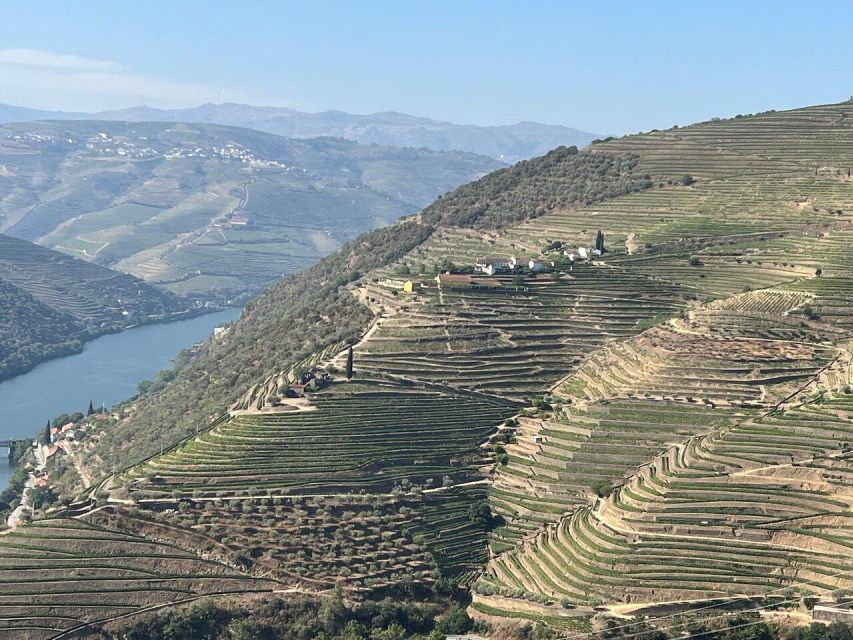 Douro Valley-Expert Guide-Boat-Lunch-Tastings PremiumService - Getting back to Porto, with one last look over the valley