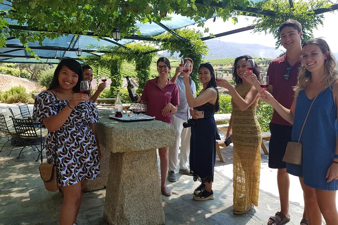 Douro Valley for Wine Lovers with Visit to 4 Wineries and Lunch - Key highlights in plain terms