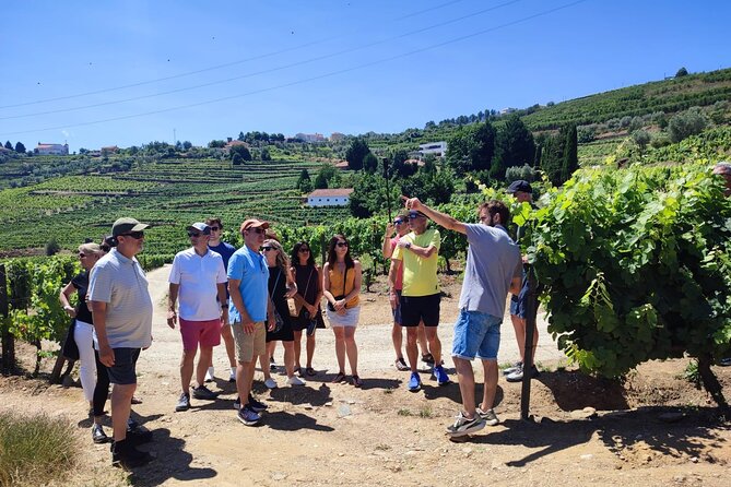 Douro Valley for Wine Lovers with Visit to 4 Wineries and Lunch - Douro Valley wine culture, served as a structured tasting day