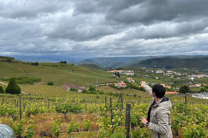 Douro Valley for Wine Lovers with Visit to 4 Wineries and Lunch - Lunch in a vineyard: where the day slows down and the value shows