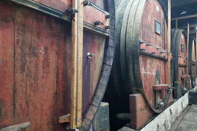 Douro Valley for Wine Lovers with Visit to 4 Wineries and Lunch - Olive oil and honey tastings: the Douro flavor lesson beyond wine