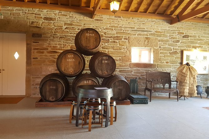 Douro Valley for Wine Lovers with Visit to 4 Wineries and Lunch - Transportation realities in the Douro: beautiful views, winding roads, plan for it