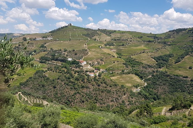 Douro Valley for Wine Lovers with Visit to 4 Wineries and Lunch - Pickup in Porto and the 8:30 AM start: make your morning easy