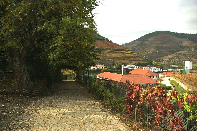 Douro Valley: From Casal de Loivos to Pinhão Walk and Wine Tour - A Douro Day That Blends Driving, Walking, and Real Quinta Stops