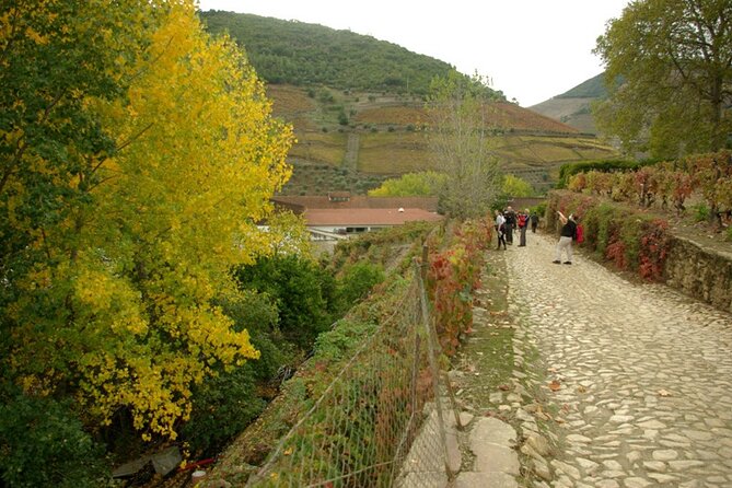 Douro Valley: From Casal de Loivos to Pinhão Walk and Wine Tour - Tesla Model 3 Pickup and the Porto to Douro Time Advantage