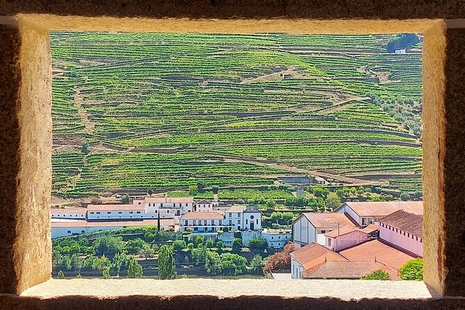 Douro Valley Full Day Tour with River Cruise and Wine Tastings - Trindade Morning Start: The Easiest Way Into Douro Country