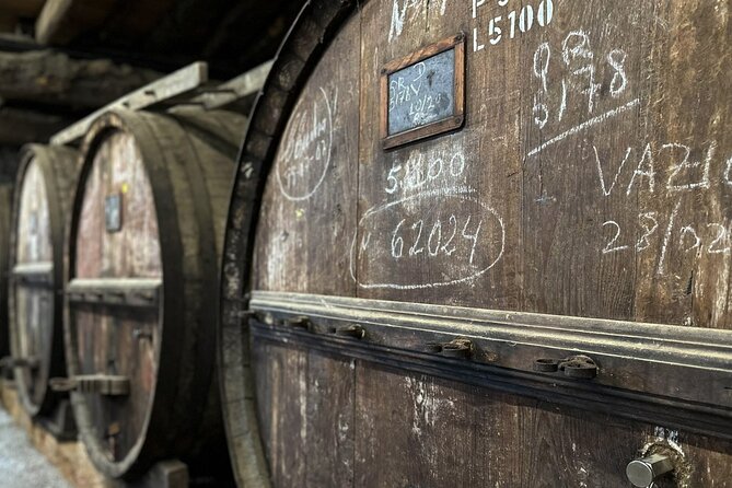 Douro Valley Full Day Tour with River Cruise and Wine Tastings - What the Group Size Feels Like During the Day