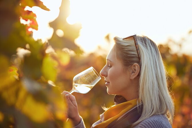 Douro Valley: Historical Sites, Wine Experience, Lunch & Cruise - Cais do Pinhão and the Rabelo boat cruise: where the valley looks closest