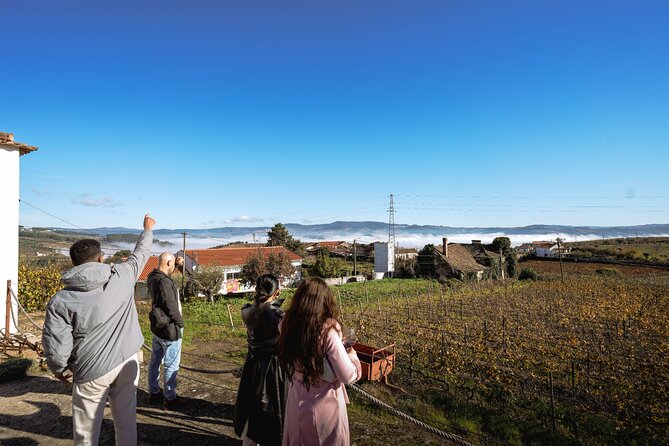 DOURO VALLEY: Lunch in a winery, tastings & 1-h private boat tour - Lunch at the winery: what you actually get
