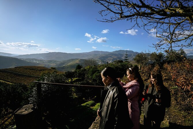 DOURO VALLEY: Lunch in a winery, tastings & 1-h private boat tour - The drive down National Road 222 and the return to Porto