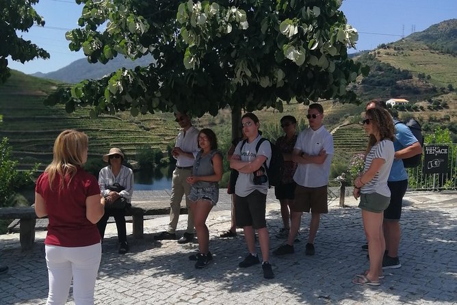 DOURO VALLEY: Lunch in a winery, tastings & 1-h private boat tour - Price and value: is $139.08 worth it?
