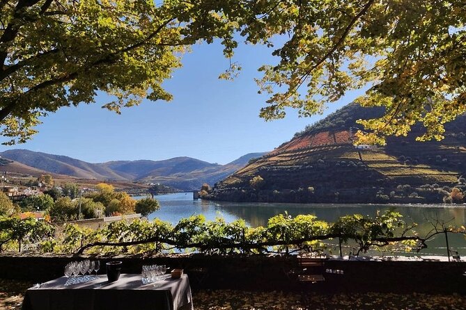 Douro Valley Pinhao Quinta da Foz Tour and Tasting 5 Wines - Your 5 Wines Tasting: How to Get More from Every Glass