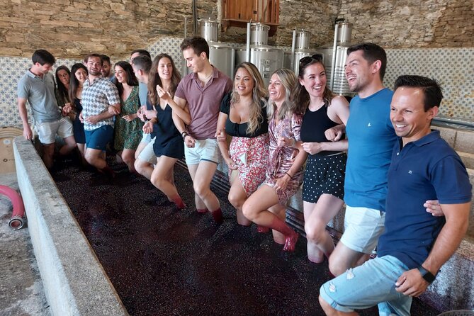 Douro Valley Pinhao Quinta da Foz Tour and Tasting 5 Wines - Price and Logistics: Getting the Most for $42.24