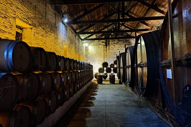 Douro Valley Pinhao Quinta da Foz Tour and Tasting 5 Wines - Stop One, The Winery: Seeing Vinification the Traditional Way