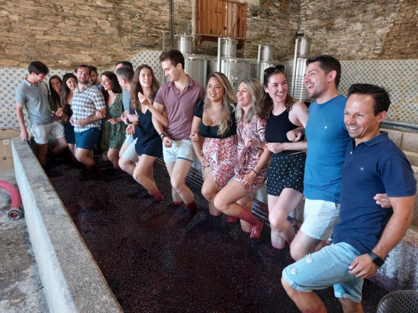 Douro Valley: (Pinhão) Quinta da Foz - Tour&Tasting 5 WINES - The 1-hour flow: from vinification basics to a 5-wine tasting